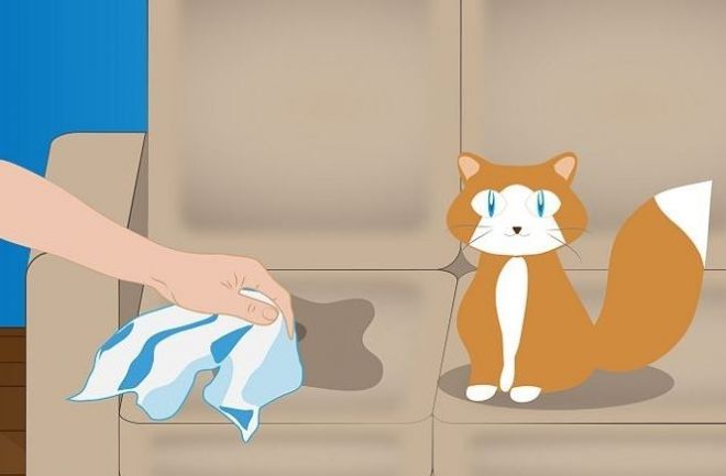 Убрать запах кошачьей мочи